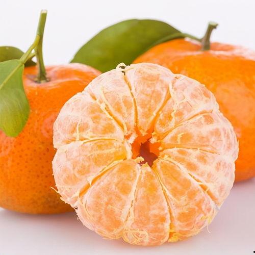 杨弋理性吃瓜,杨弋带你洞察娱乐圈真相