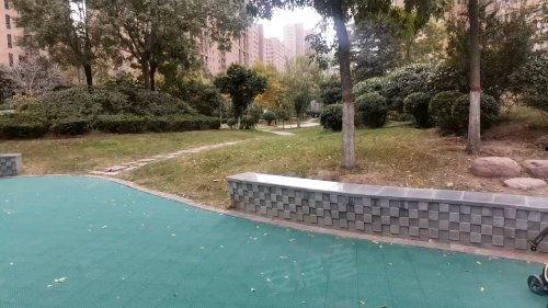 宝龙小区吃瓜,邻里纷争背后的真相揭秘