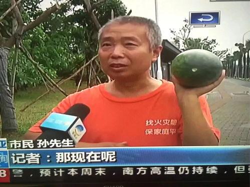 吃瓜群众的事件,揭秘事件背后的真相与争议