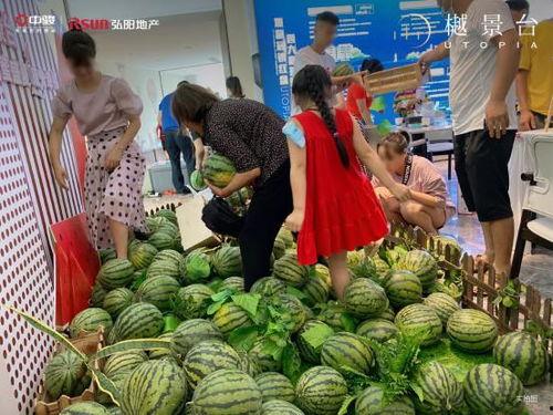 弘阳吃瓜,揭秘娱乐圈背后的那些事儿