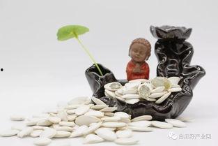 长期吃白瓜,健康益处与营养秘密揭秘