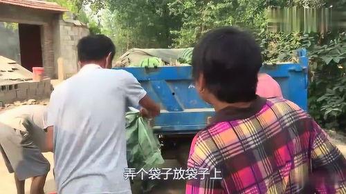 下乡吃瓜路人视频大全,捕捉乡村生活的欢乐瞬间