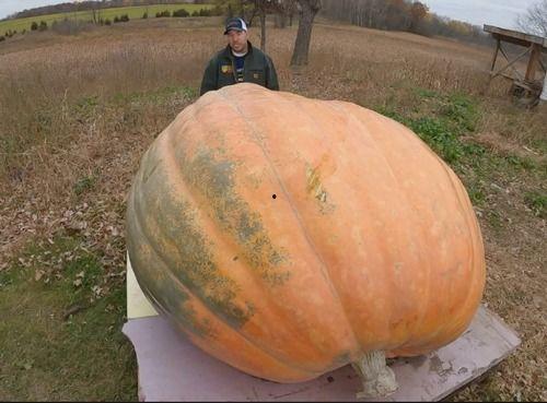 吃瓜都吃吐了,揭秘娱乐圈幕后真相