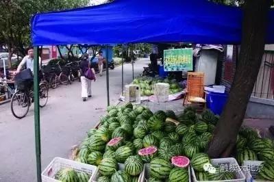 小马吃瓜摊大理