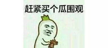 不做板凳的吃瓜群众,吃瓜群众也能畅享精彩瞬间