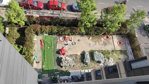 吃瓜小区业主,业主们的欢乐日常与邻里情谊