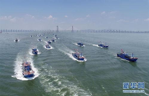 吃瓜渔船出海台湾,揭秘两岸渔民的温馨互动