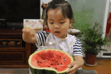 吃瓜群众甜吗,一场关于甜蜜与苦涩的味蕾之旅