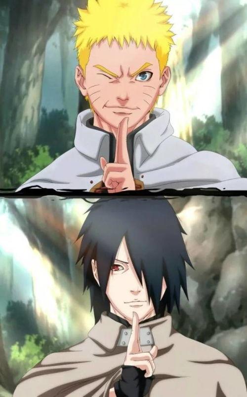 火影2137区吃瓜,揭秘神秘瓜田，探寻忍者世界的秘密果实