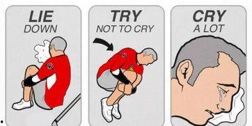 吃瓜体验后续,揭秘吃瓜背后的趣味与真相