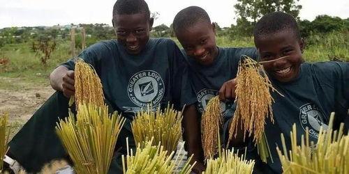 边缘吃瓜起点,揭秘网络舆论场的幕后真相