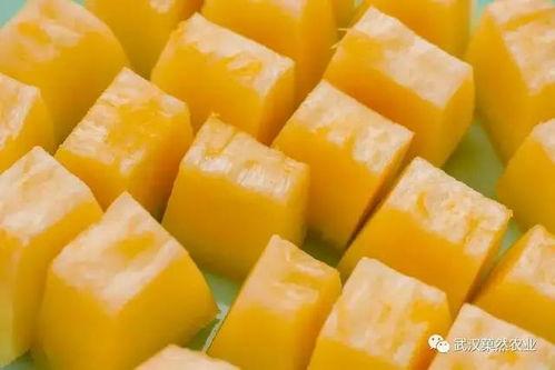 水果茶吃瓜,夏日消暑新风尚