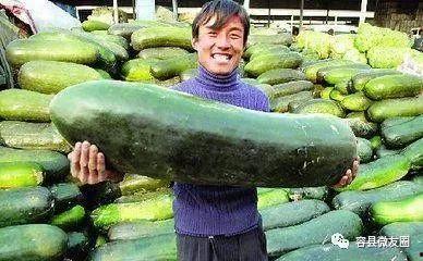 人体改造吃瓜,探索科技与身体的极限之旅