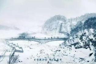 风雪吃瓜合集,笑谈人生百态