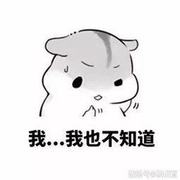 吃瓜211,一场网络热点的狂欢与反思